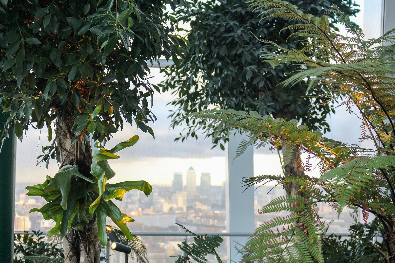 Sky Garden 空中花园观景 参考图 1